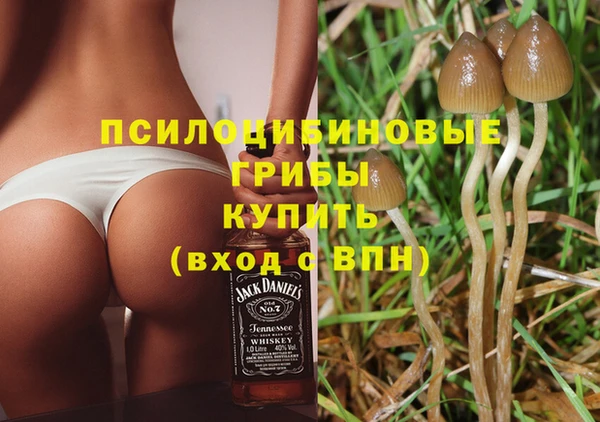 трава Ладушкин
