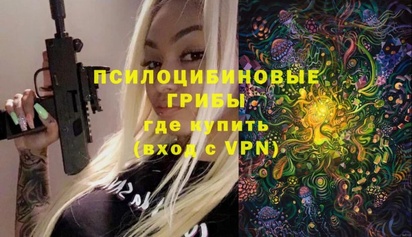 прущие крисы Лабытнанги