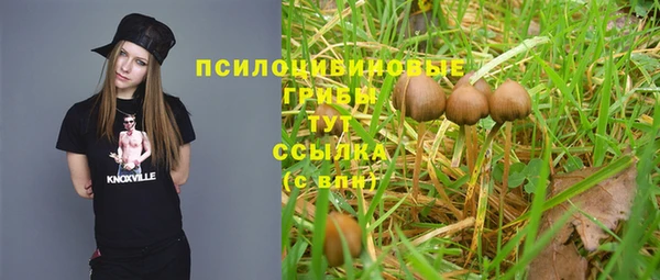 трава Ладушкин