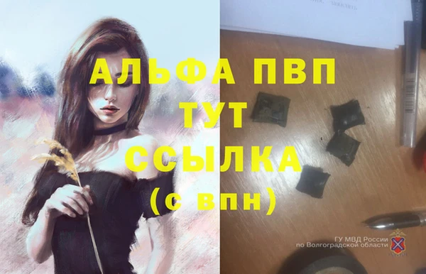 прущие крисы Лабытнанги