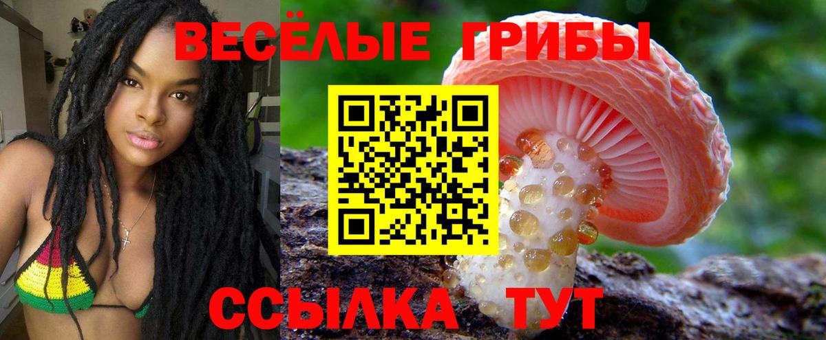 Псилоцибиновые грибы прущие грибы Апрелевка
