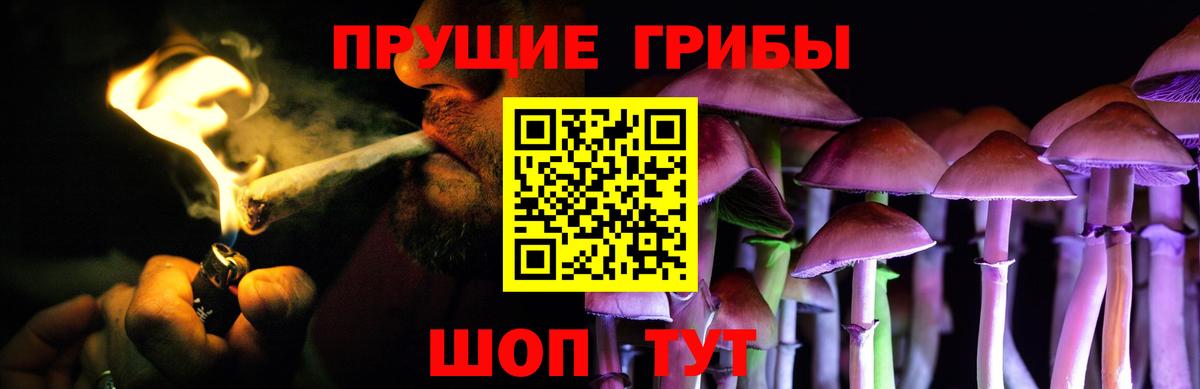 где продают   Вход с VPN  Апрелевка  Галлюциногенные грибы MAGIC MUSHROOMS  Псилоцибиновые грибы Cubensis 