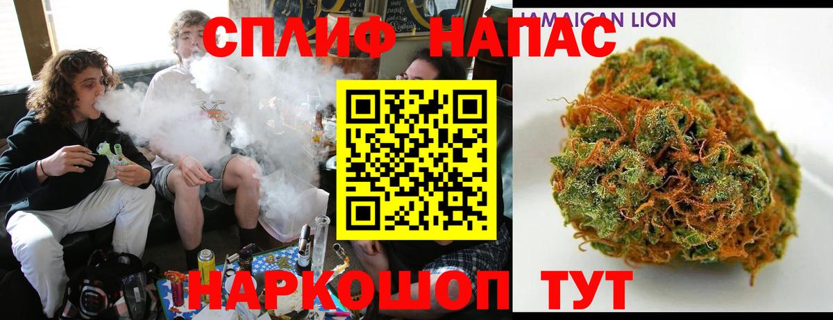 Каннабис планчик  МАРИХУАНА план  Апрелевка  Бошки марихуана индика 